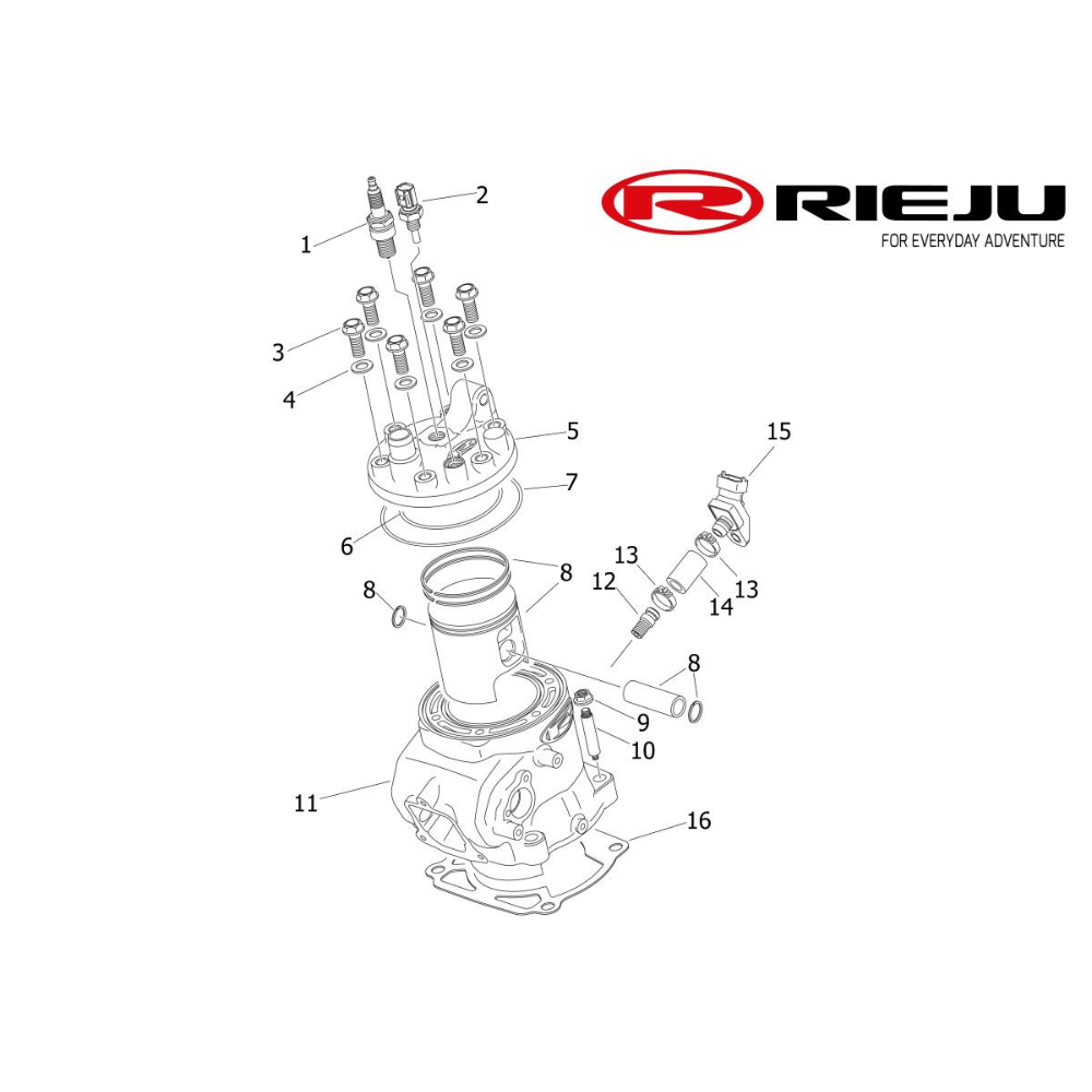 Cylinder & Cylinder Head Assembly