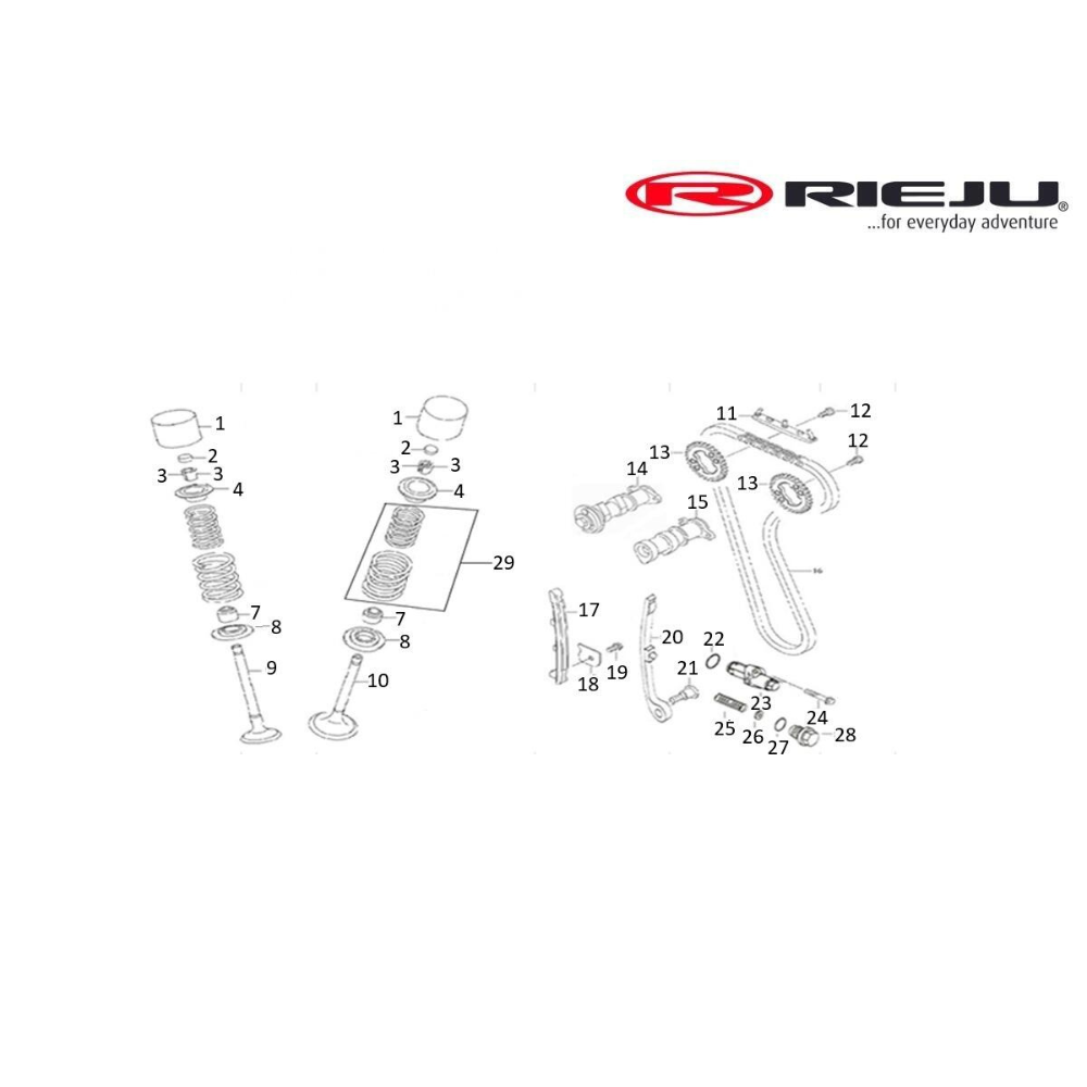 Valves - Timing Chain